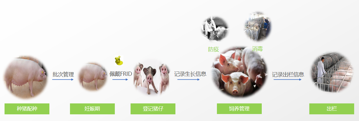 1694511407228070.png 肉追溯.png