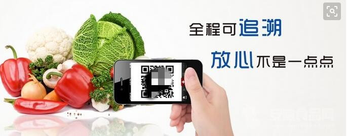 1706927037384231.jpg 追溯2.jpg